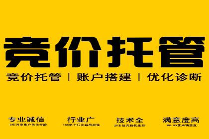 百度SEM推广在电商行业的应用案例